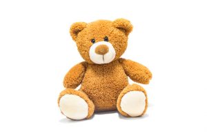 Brown Teddy Bear Isolated In Front Of A White Background.